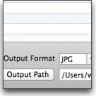 Output Format